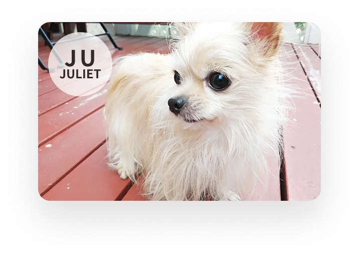 ジュリエット