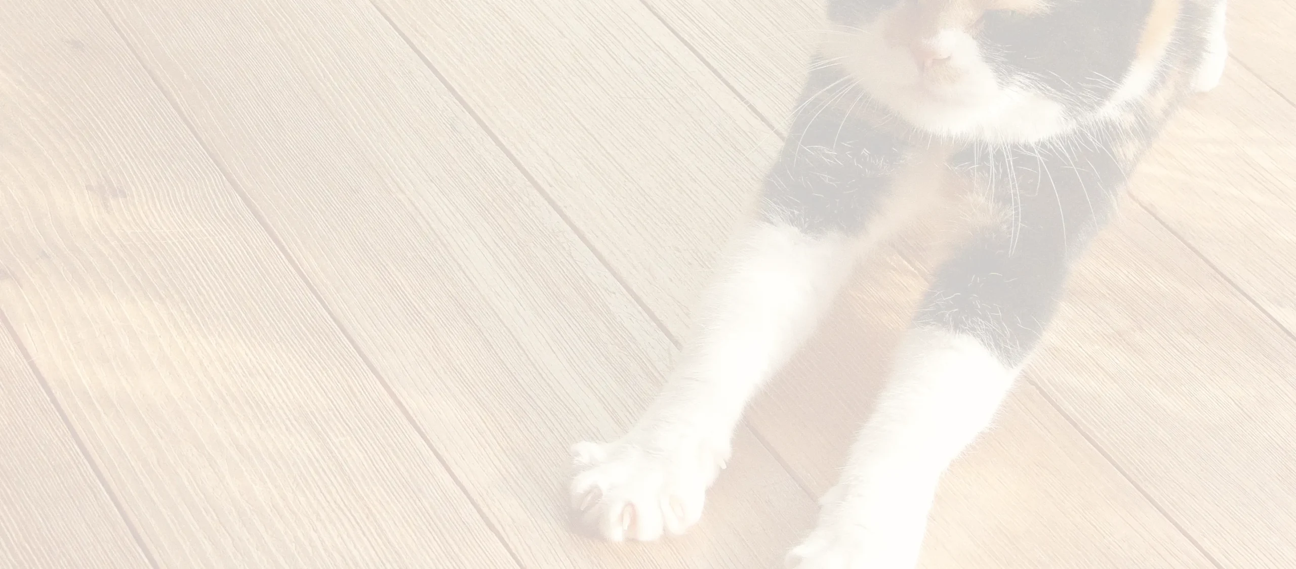 代表メッセージ背景画像