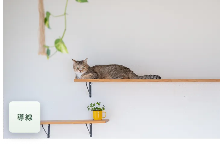 キャットウォーク設置